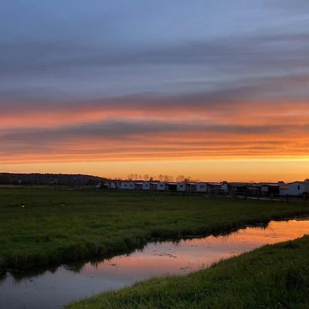 Charmante Maisonnette Proche Plage Et Commerces Blonville-sur-Mer Eksteriør billede